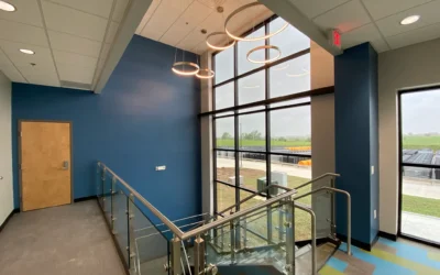 What to Expect From a Professional Residential Painting Project
